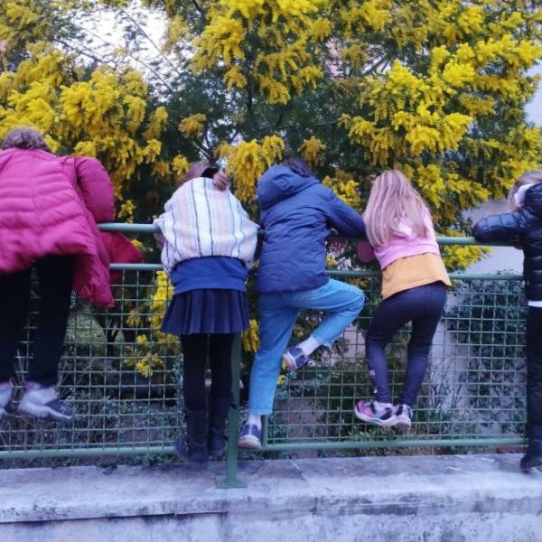 Nasce a Foligno, tra i banchi di scuola, la cover ecosostenibile: ecco di cosa si tratta 