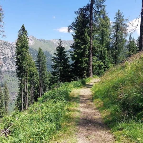 Umbria, dove fare trekking in estate: ecco i sentieri più belli