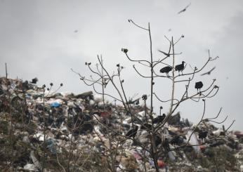 Gagliardi ai vertici dell’AURI: riambientamento della discarica di Colognola