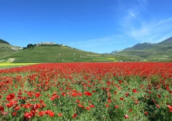 Rallentamento dell’economia in Umbria nel 2023, bene il turismo ma non l’occupazione