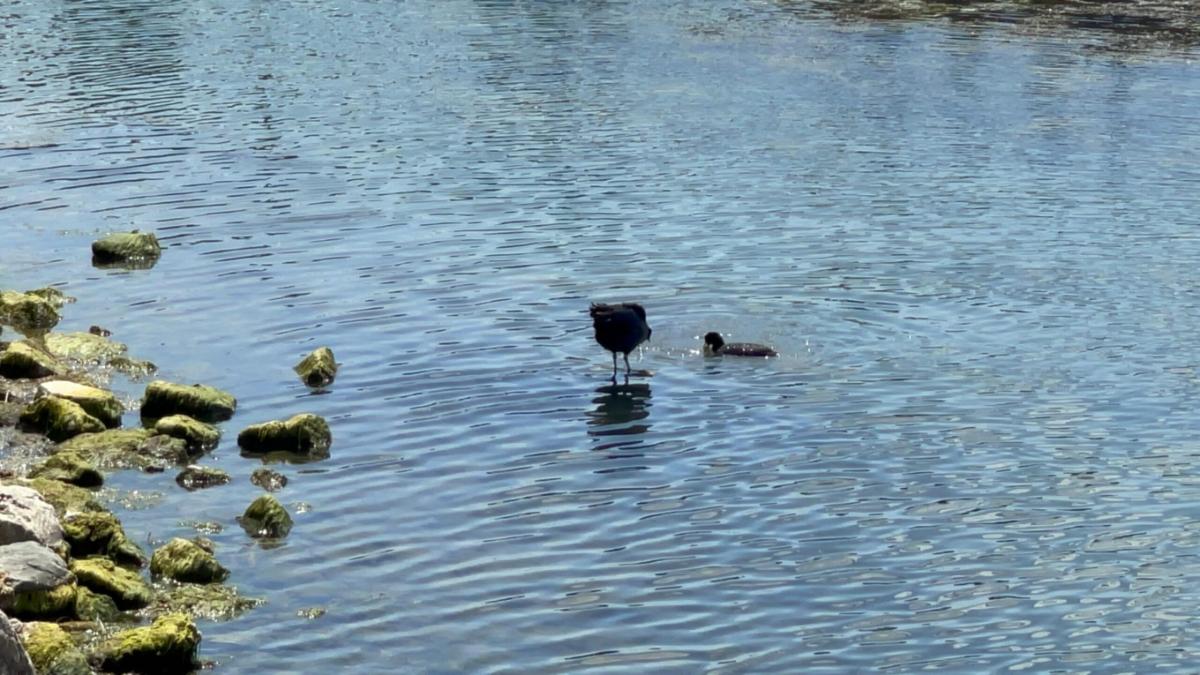 Laghi in Umbria: ecco quali sono i laghi balneabili più conosciuti della regione