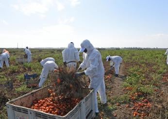 Caporalato in Umbria, Cgil: “Da cabina regia servono impegni precisi”