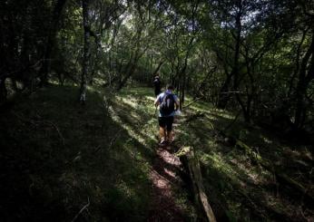 Riapre il Cammino della Pietra Bianca con 14 tappe: quanto sono lunghe e cosa vedere