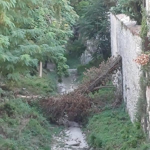 Il torrente Camignano a Gubbio invaso da topi, immondizia e carcasse di animali