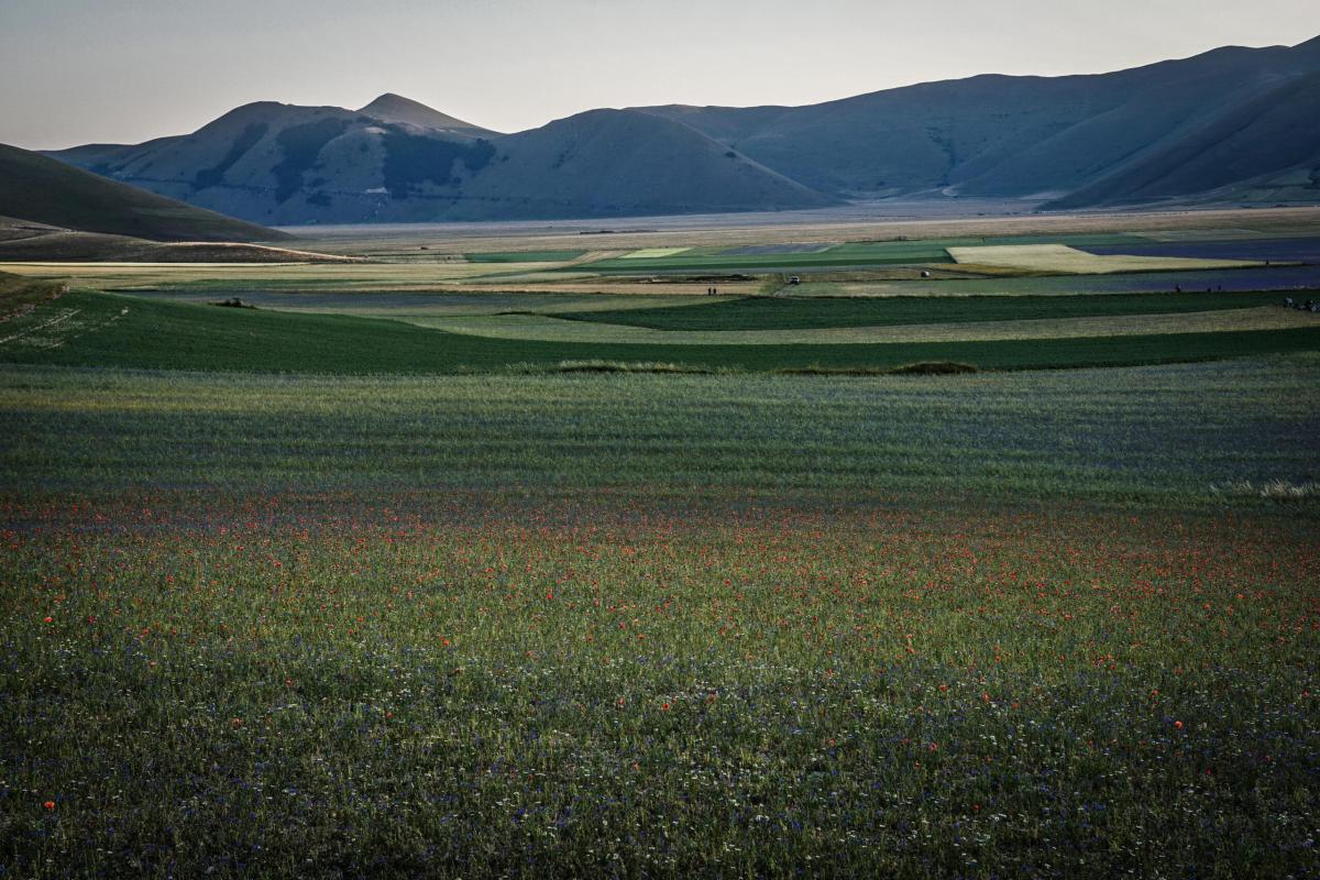 Neve a Castelluccio di Norcia a  fine aprile: ritorna l’inverno