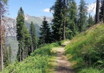 Vivere la montagna 2024: a Campello sul Clitunno una due giorni di formazione tra GAL sulle politiche di sviluppo locale