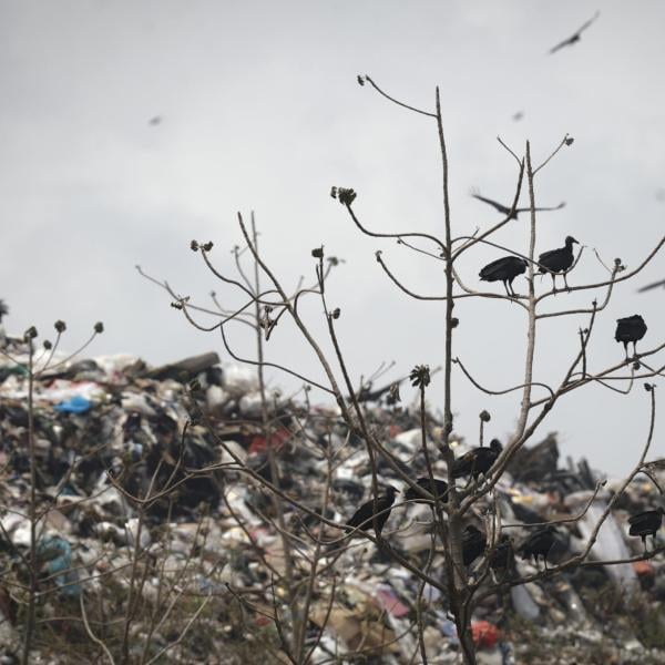 Gagliardi ai vertici dell’AURI: riambientamento della discarica di Colognola