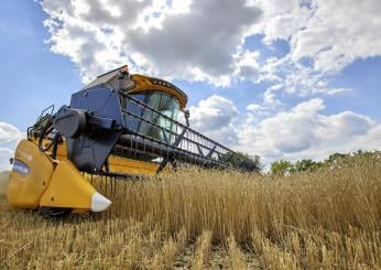 Agricoltura, qualità ok per il grano umbro ma allarme Coldiretti su costi e prezzi