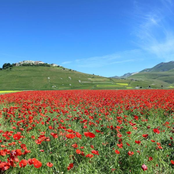 Vacanze green, in Umbria la Rete delle imprese agrituristiche e del turismo rurale valorizza le ‘Aree Natura 2000’