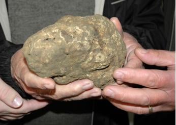 Mostra mercato del tartufo bianco e della patata di Pietralunga: celebrazione di sapori e tradizioni