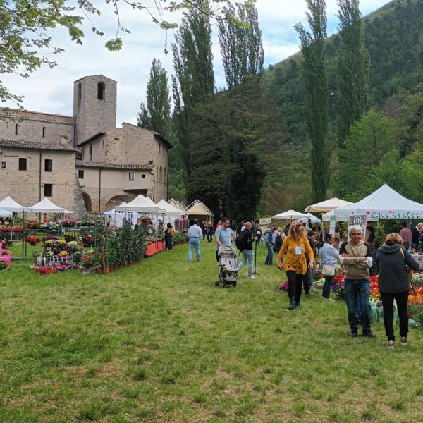 Con Primavera in Valnerina, il borgo di Sant’Anatolia di Narco torna a fiorire: qui il programma della mostra mercato