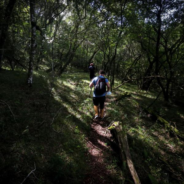 Riapre il Cammino della Pietra Bianca con 14 tappe: quanto sono lunghe e cosa vedere