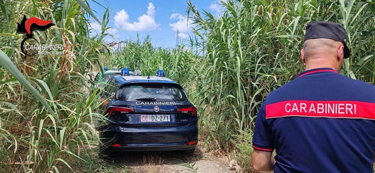 Panicale: sequestrati 17 cani maltrattati, in gravi e deplorevoli condizioni igienico-sanitarie