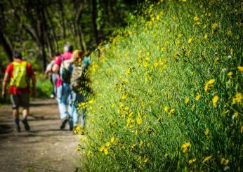 Terni, Consiglio Comunale: riqualificare il centro e gestire i sentieri