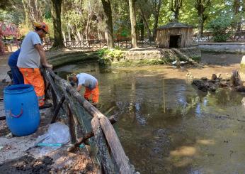 Alberi secchi e pini tagliati, Comune di Terni sotto attacco. Intanto alla Passeggiata pulito il laghetto