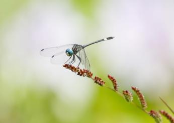 LIFE IMAGINE Umbria: al via la formazione avanzata per la salvaguardia della Rete Natura 2000