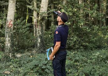 Spoleto, maxi operazione di controllo e  rastrellamento dei Carabinieri nei boschi