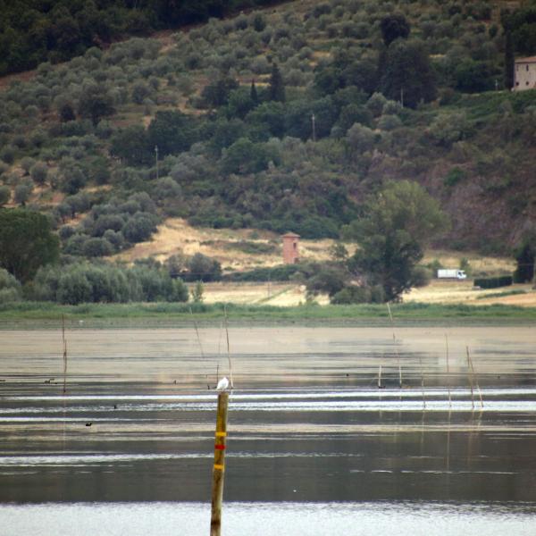 Camping in Umbria: ecco i luoghi e villaggi ideali per il vostro prossimo campeggio nella regione