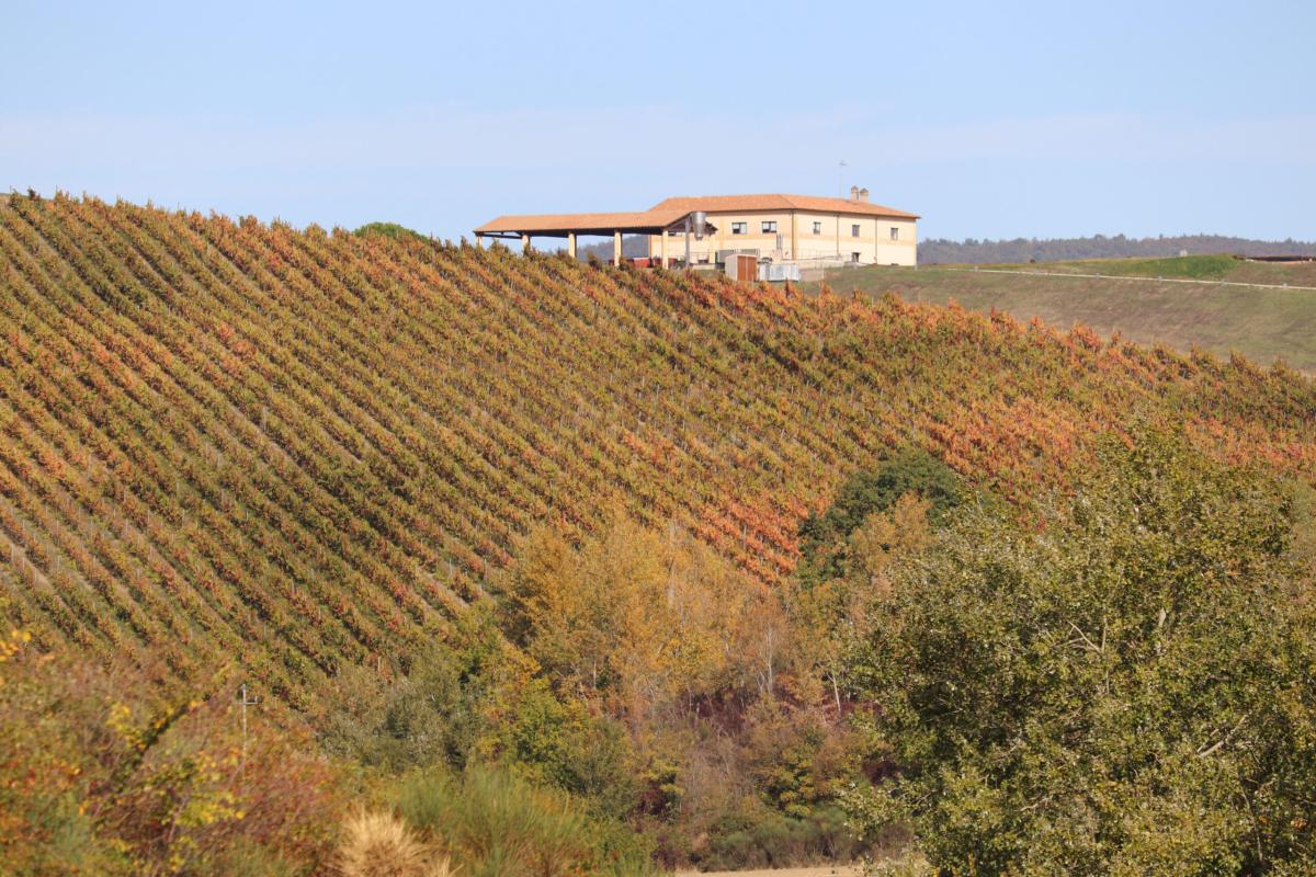 A Montefalco apre il Museo del Sagrantino