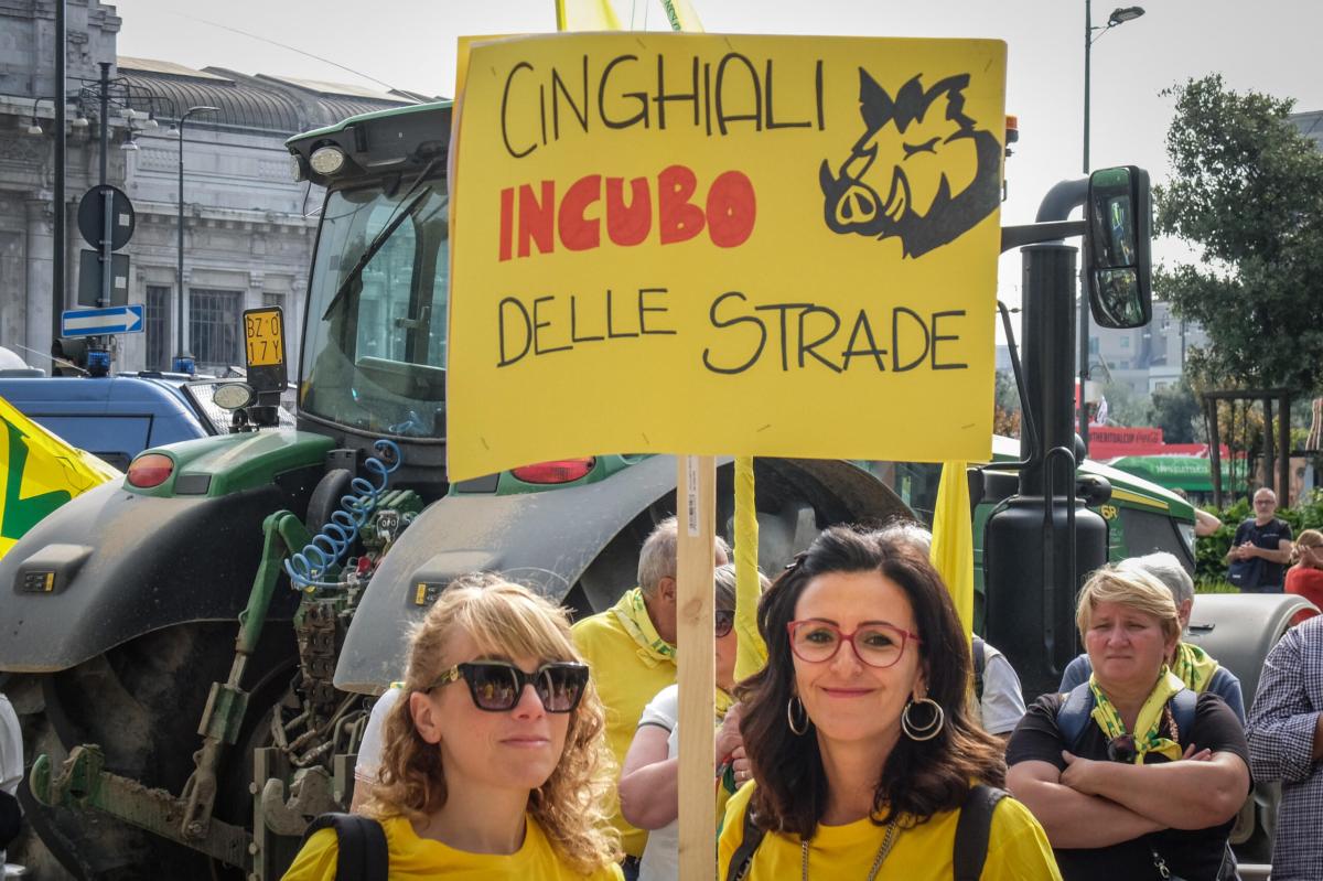 Perugia, agricoltori in piazza contro i cinghiali