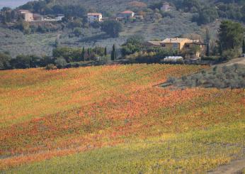 Montefalco, Pasqua tra i sapori e i colori delle terre del Sagrantino