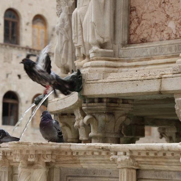 Meteo in Umbria nel fine settimana, a Perugia bollino arancione