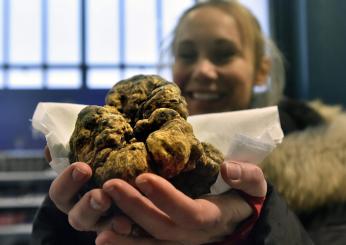 Alla Fiera del Tartufo di Gubbio premiato il “Tartufo più grosso”. Manifestazioni della prima settimana