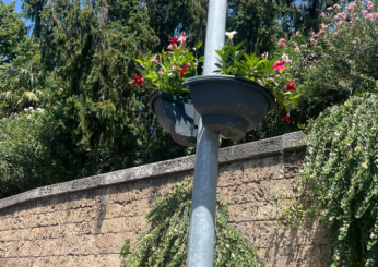 Terni, spariscono le fioriere dai pali. Il Comune rassicura: “Stiamo sostituendo le piante”