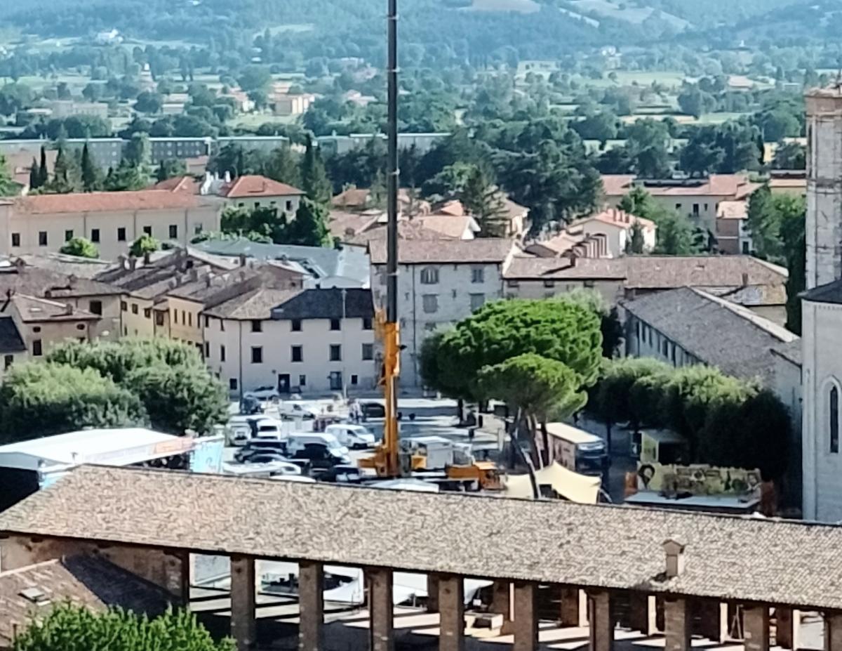 Giardini di Piazza 40 Martiri, Scavizzi: “Non sono l’area verde di un autogrill”