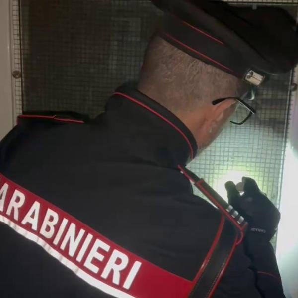 Perugia, Carabinieri assestano un duro colpo allo spaccio di droga: 13 denunce e un arresto