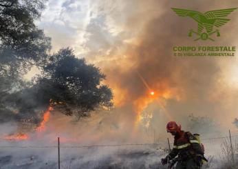 Gubbio, Canadair spegne grosso incendio a Burano: tragedia sfiorata