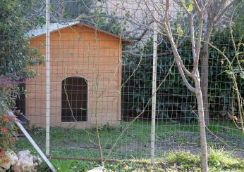 Assisi, mette i figli nella cuccia del cane: padre allontanato per maltrattamenti