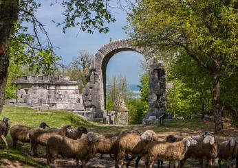 Paola Agabiti, 4 milioni per la Cultura in Umbria