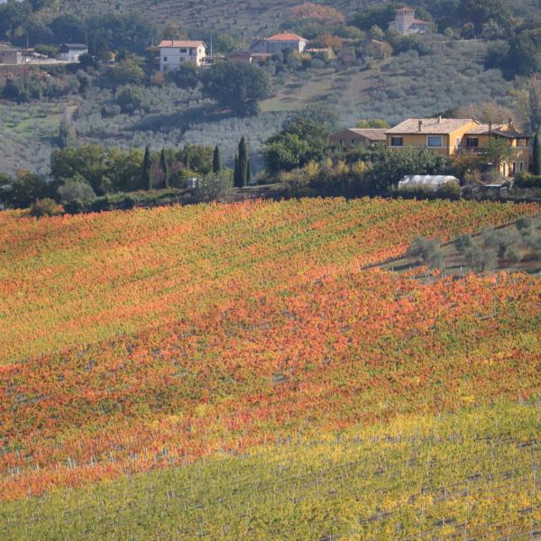 Montefalco, Pasqua tra i sapori e i colori delle terre del Sagrantino