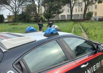 Città della Pieve: catturato dai Carabinieri mentre sta per compiere un furto