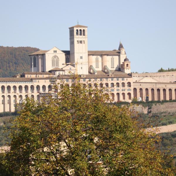 Cinema alla Rocca, un mese di film ad Assisi: il programma