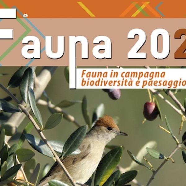 Fauna 2024: a Spoleto tre giorni sulla biodiversità e paesaggio rurale