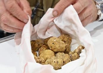 Gubbio Terra di Tartufo: rassegna di eccellenza tra gusto, cultura e tradizione