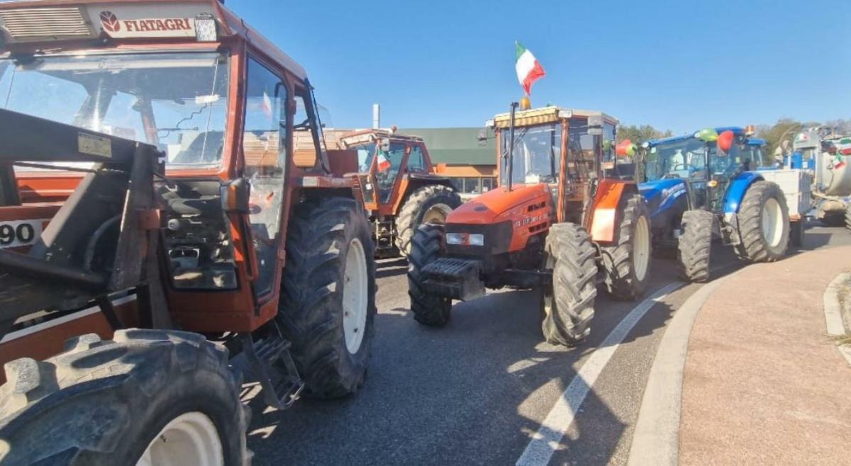 Agricoltura umbra in fermento: in arrivo un “tavolo verde” straordinario