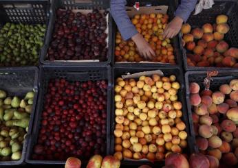 Il mercato agricolo dell’Arco etrusco compie un anno, presidente Cia Umbria Matteo Bartolini: “Sempre più un luogo di socialità”