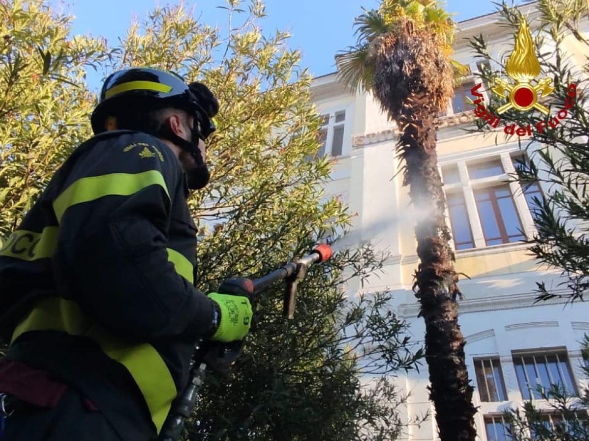 Mattinata movimentata a Terni: Ipsia in fiamme e Piazza dell’Olmo senza olmo