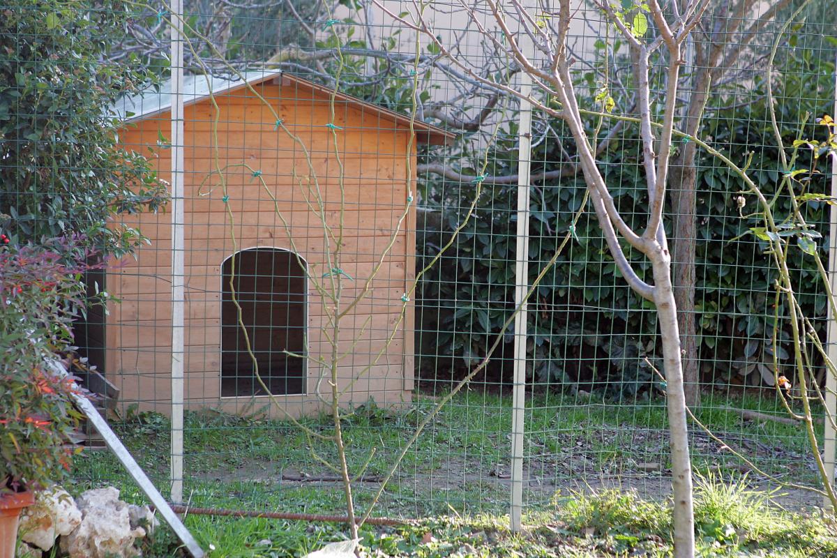 Assisi, mette i figli nella cuccia del cane: padre allontanato per maltrattamenti