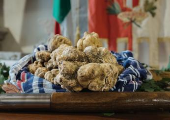 Il business del tartufo bianco umbro, può arrivare a costare anche 3000 euro