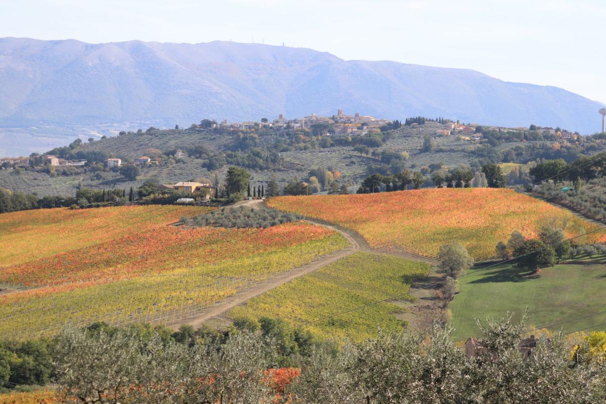 Resistenza Naturale. A Spoleto per il Festival dei Due Mondi torna la rassegna di cinema sulla sostenibilità ambientale