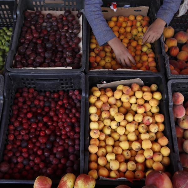 Il mercato agricolo dell’Arco etrusco compie un anno, presidente Cia Umbria Matteo Bartolini: “Sempre più un luogo di socialità”