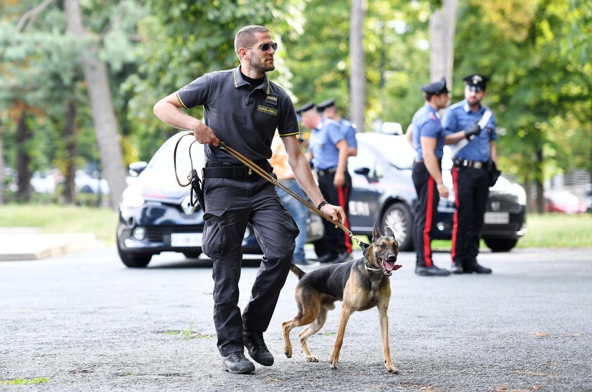 Controlli rafforzati all’aeroporto di Perugia: arriva un Cash Dog