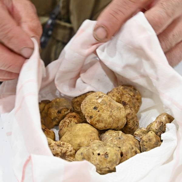 Gubbio Terra di Tartufo: rassegna di eccellenza tra gusto, cultura e tradizione