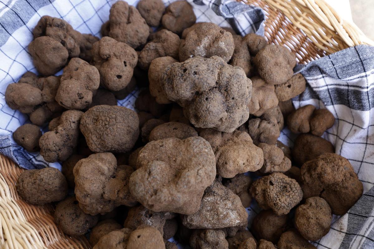 Amari e liquori dell’Umbria, ecco quelli tipici: gradazione alcolica, storia e abbinamenti