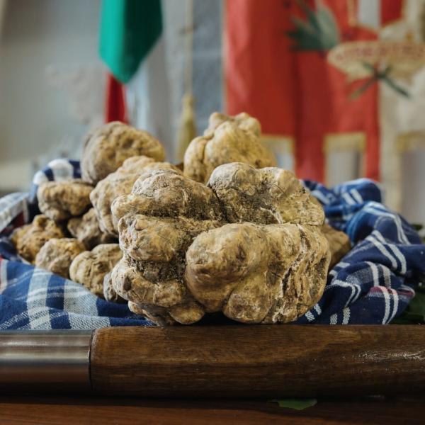 Pietralunga apre la stagione del tartufo bianco in Umbria: ecco il programma del weekend