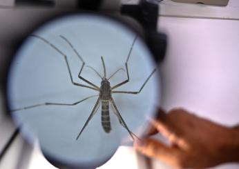 Casi di Dengue in Umbria: “Attenzione a nausea, vomito e dolore agli occhi”. Ecco tutte le raccomandazioni dell’Usl Umbria 1